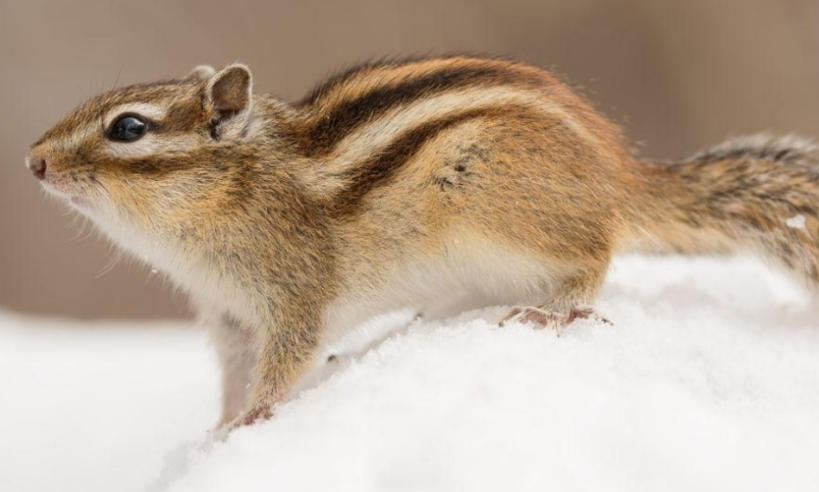 北京京盛鸿发商贸中心轮播图2