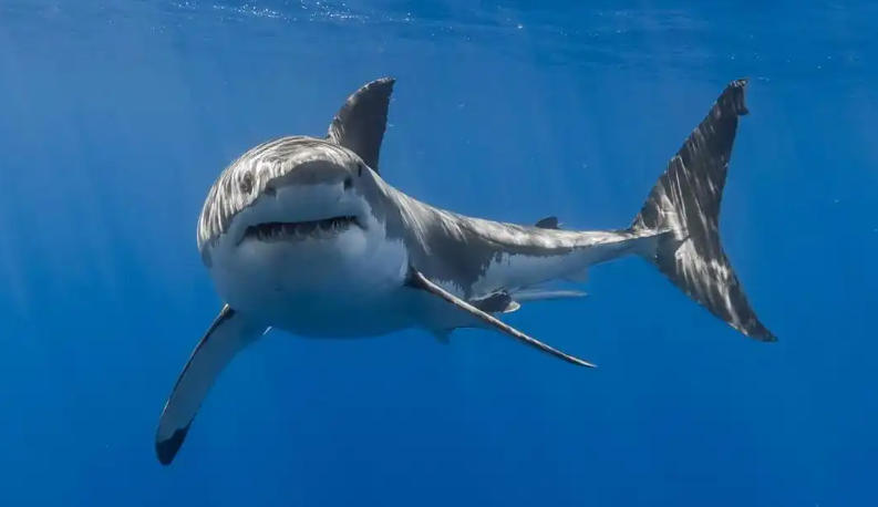 北京京盛鸿发商贸中心轮播图5