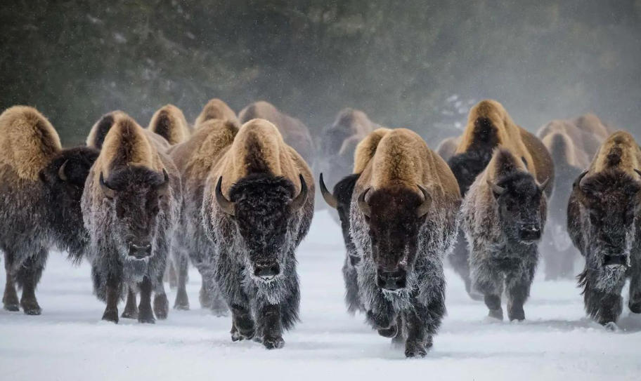 北京京盛鸿发商贸中心轮播图3